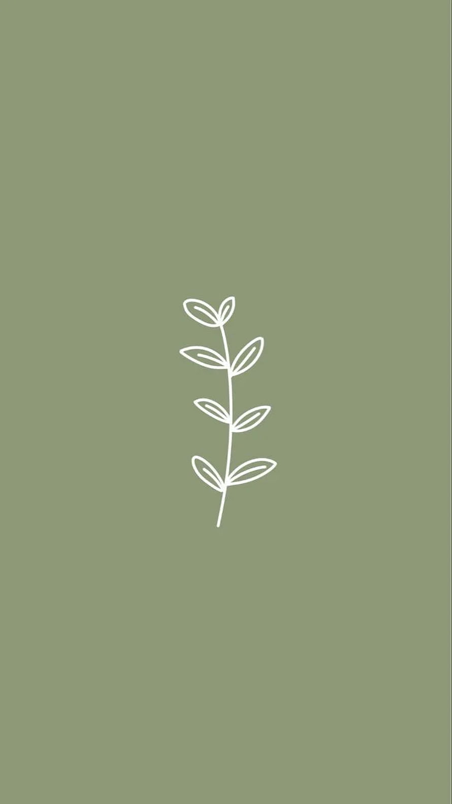Minimalist White Leaf Branch Line Art on Sage Green Background HD phone wallpaper