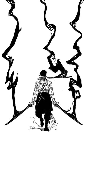 Roronoa Zoro Wielding Dual Swords in Black and White Manga Art HD phone wallpaper
