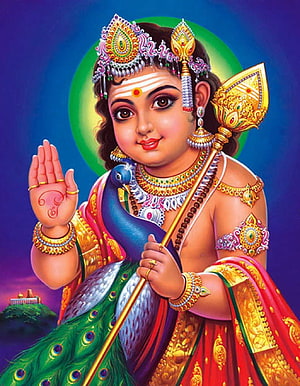 Baby Lord Kartikeya with Peacock and Vel Weapon Hindu God Illustration HD phone wallpaper