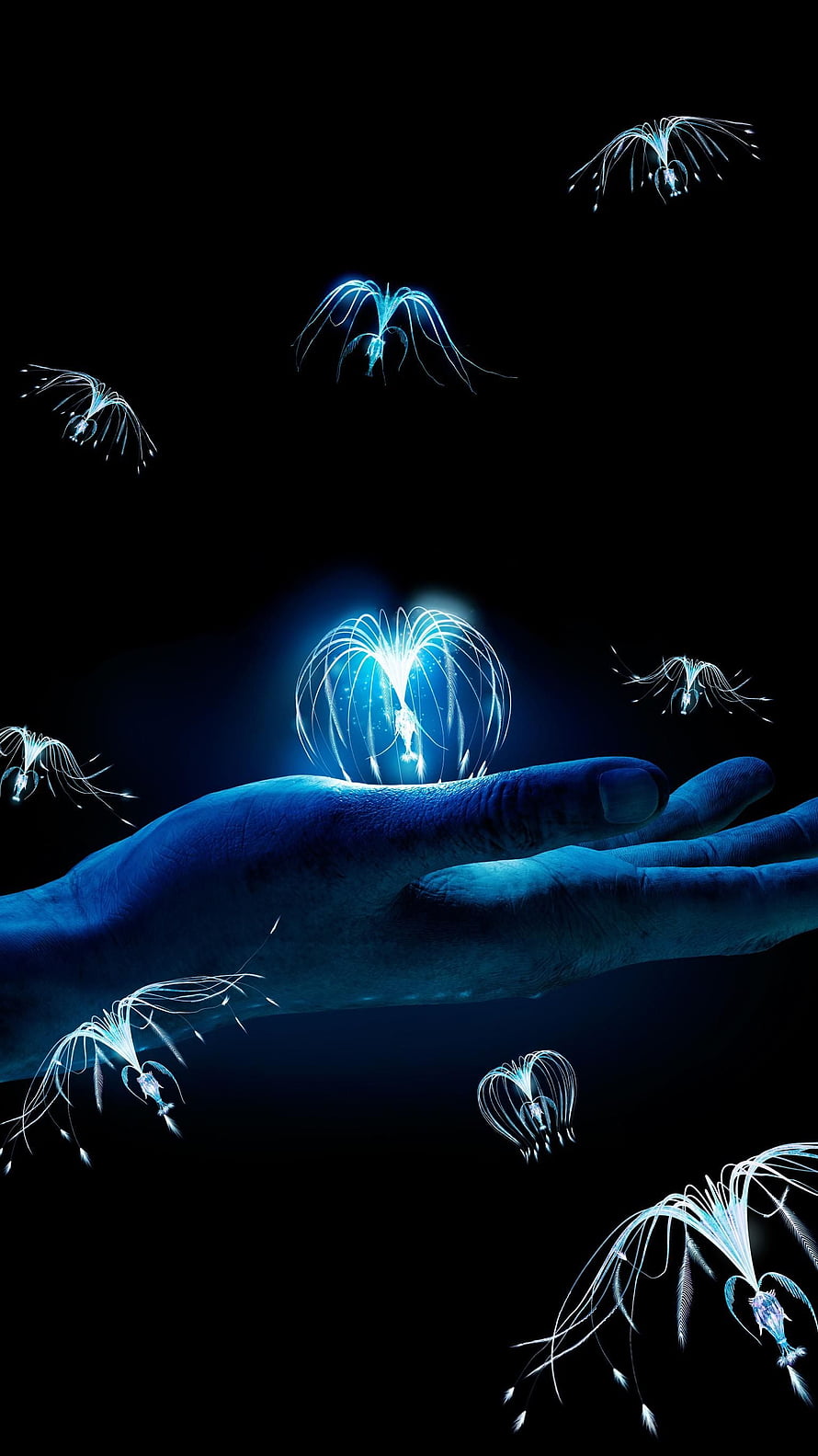 Glowing Bioluminescent Jellyfish Floating Around a Human Hand in Dark Blue Water, Avatar (2009) . Moviemania. Avatar poster, Avatar movie, Avatar tattoo, Pandora Planet HD phone wallpaper