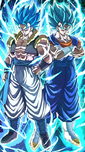 Vegeta and Goku Super Saiyan Blue Anime Wallpaper HD phone wallpaper