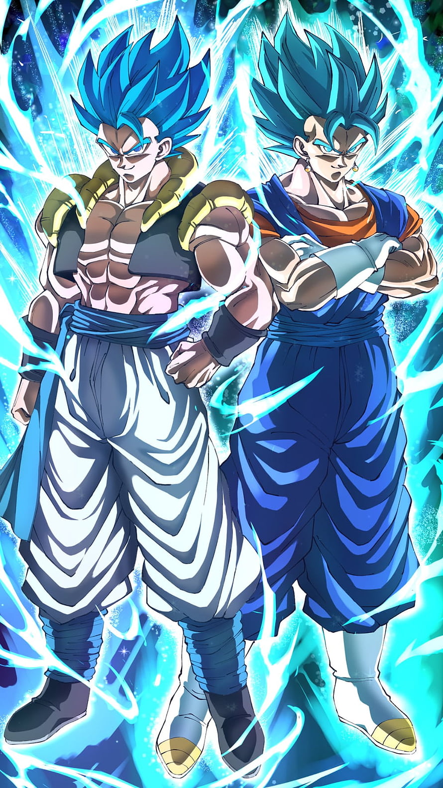 Vegeta and Goku Super Saiyan Blue Anime Wallpaper HD phone wallpaper