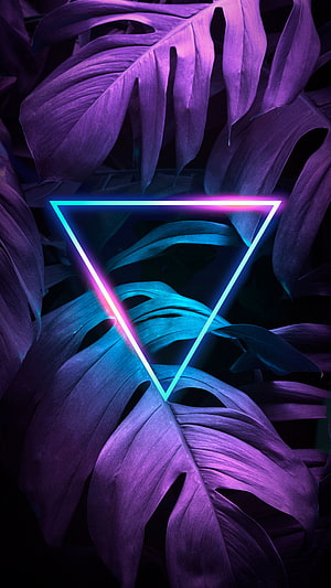 Neon Triangle Over Purple Monstera Leaves HD phone wallpaper