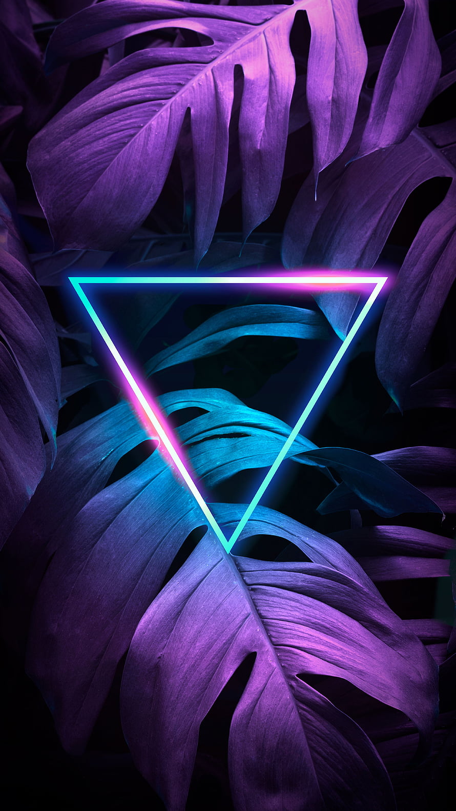 Neon Triangle Over Purple Monstera Leaves HD phone wallpaper
