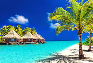 Tropical Paradise With Overwater Bungalows, Turquoise Lagoon, and Palm Trees on a White Sand Beach HD wallpaper