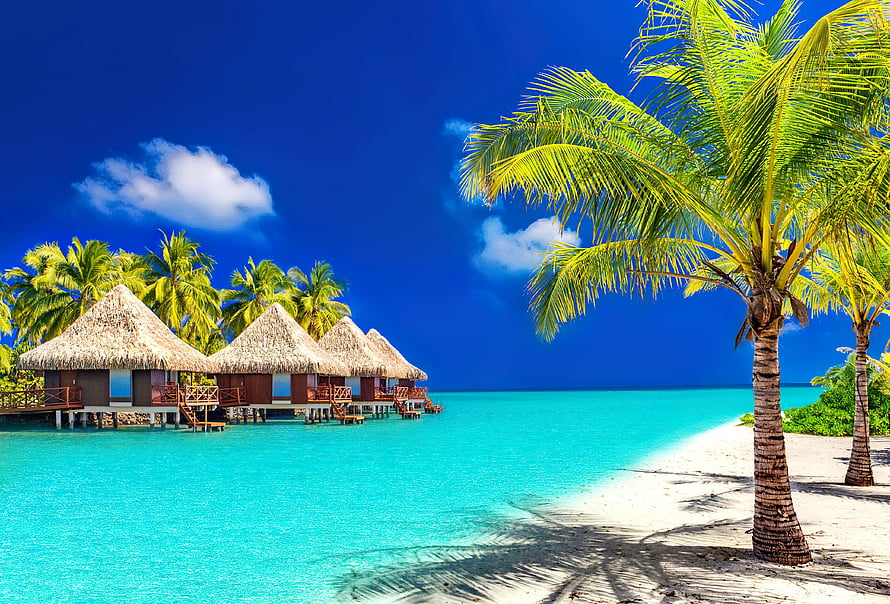 Tropical Paradise With Overwater Bungalows, Turquoise Lagoon, and Palm Trees on a White Sand Beach HD wallpaper
