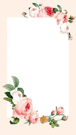 Elegant Watercolor Pink Rose Floral Border With Butterfly And Green Leaves HD phone wallpaper