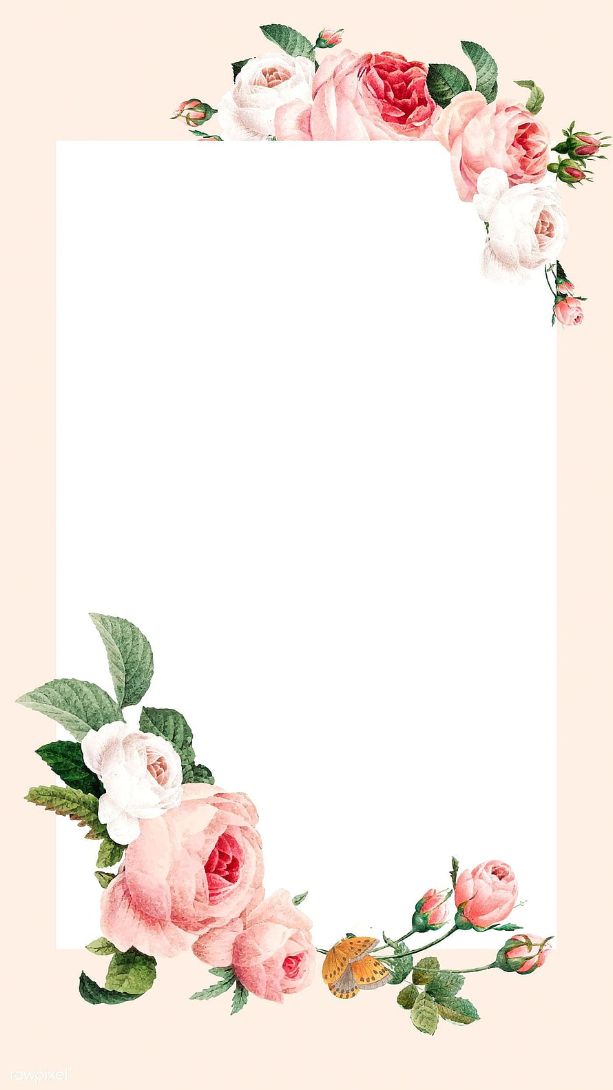 Elegant Watercolor Pink Rose Floral Border With Butterfly And Green Leaves HD phone wallpaper
