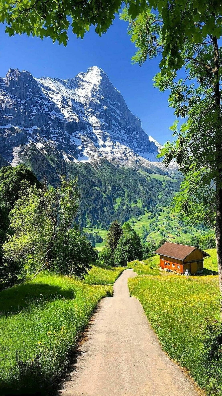 Scenic Alpine Path Leading to Snow-Capped Mountain Peak with Rustic Cabin HD phone wallpaper