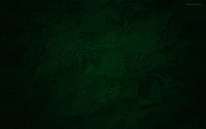Dark Green Textured Surface with Subtle Organic Patterns and Deep Tonal Depth HD wallpaper
