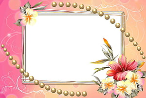 Elegant Floral Frame with Hibiscus and Plumeria Blooms on Pink Background HD wallpaper