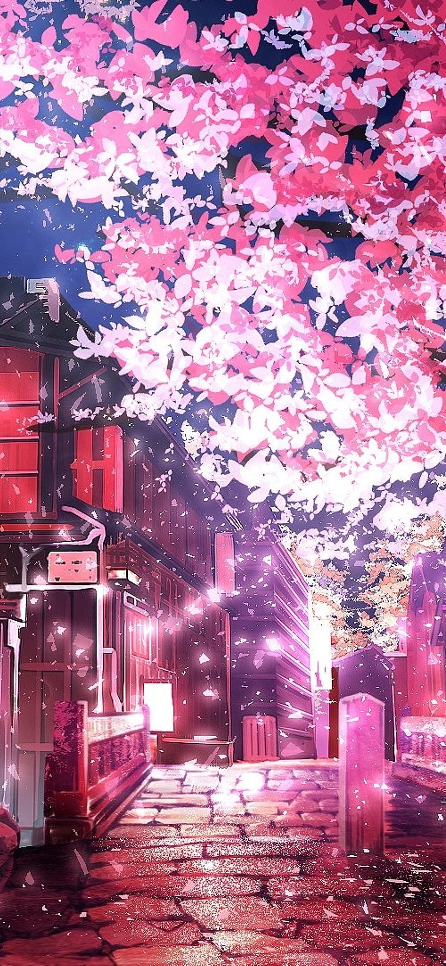 Neon-lit Japanese alley at night beneath a canopy of pink cherry blossoms HD phone wallpaper