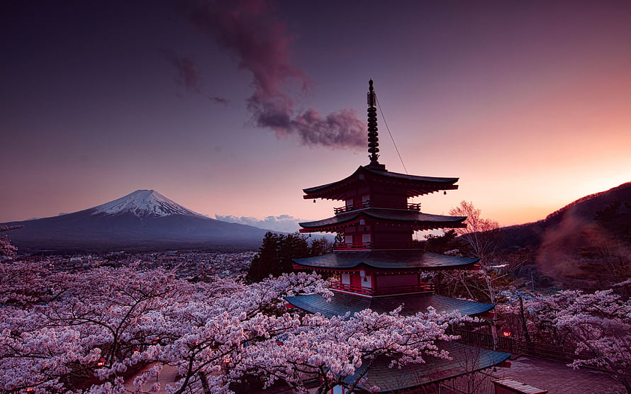 Chureit Pagoda and Mount Fuji at Dusk with Cherry Blossoms in Japan HD wallpaper