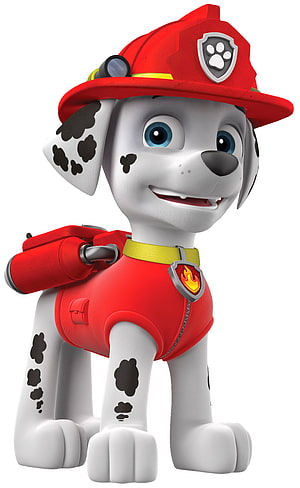 Marshall the Dalmatian Fire Pup from PAW Patrol in Red Helmet and Vest HD phone wallpaper