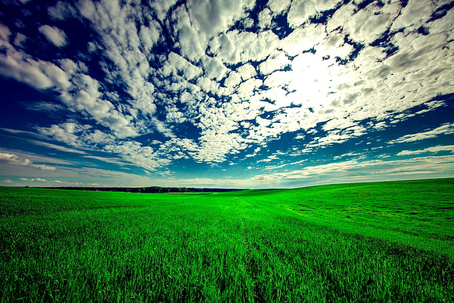 Vibrant Green Pasture Under Dramatic Cloudy Sky HD wallpaper