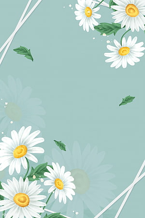 Mint Green Daisy Flower Frame Illustration with White Petals and Yellow Centers HD phone wallpaper