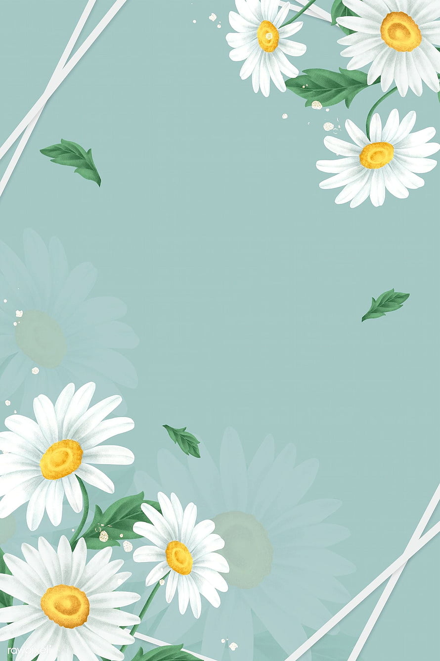 Mint Green Daisy Flower Frame Illustration with White Petals and Yellow Centers HD phone wallpaper