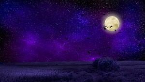 Full Moon Over a Starry Purple Night Sky with Flying Birds and a Dark Meadow HD wallpaper