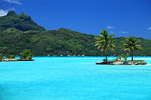 Tropical Paradise with Turquoise Lagoon and Palm Trees HD wallpaper