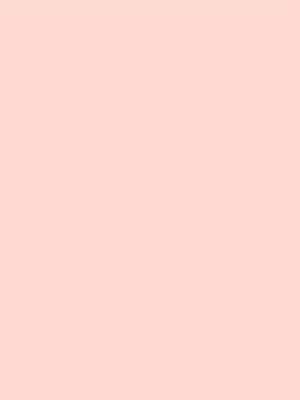 Soft Peach Pastel Solid Color Minimalist Background HD phone wallpaper