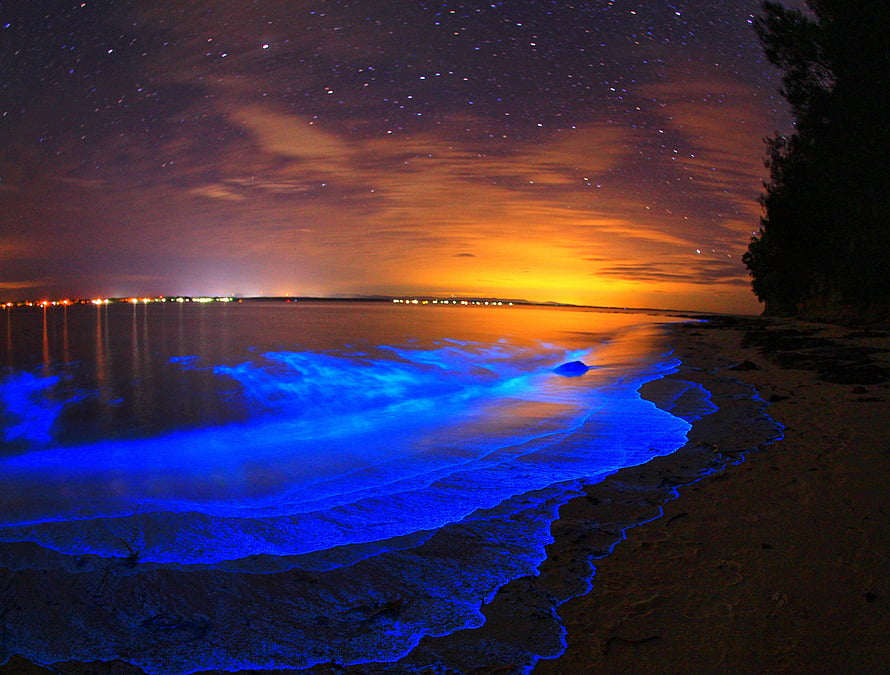 Bioluminescent Bay Beach at Night with Glowing Blue Waves and Starry Sky HD wallpaper