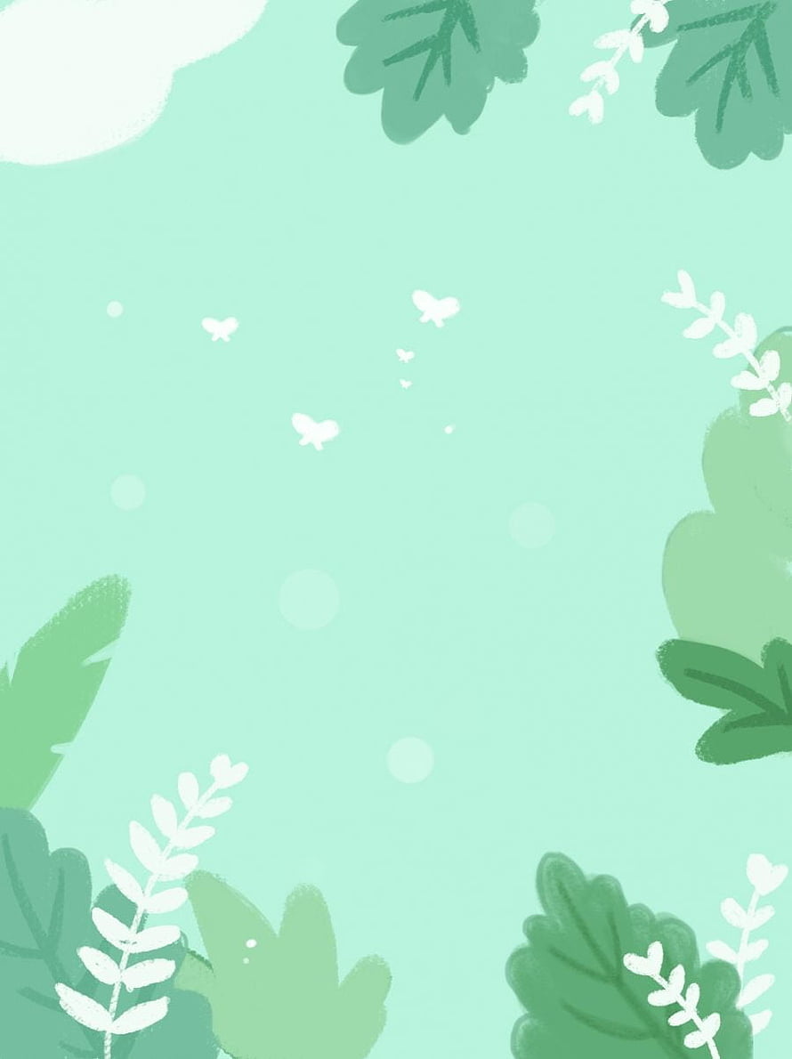 Pastel Mint Green Botanical Illustration with White Butterflies and Leafy Frame HD phone wallpaper