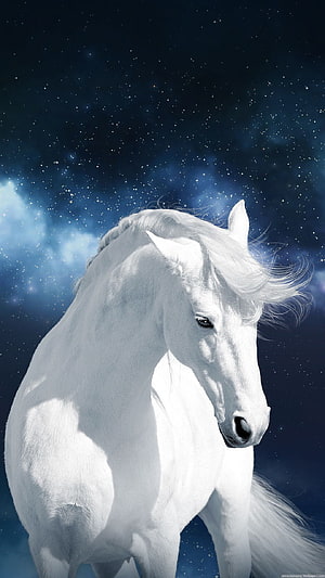Majestic White Horse Portrait Against a Starry Night Sky and Cosmic Nebula HD phone wallpaper