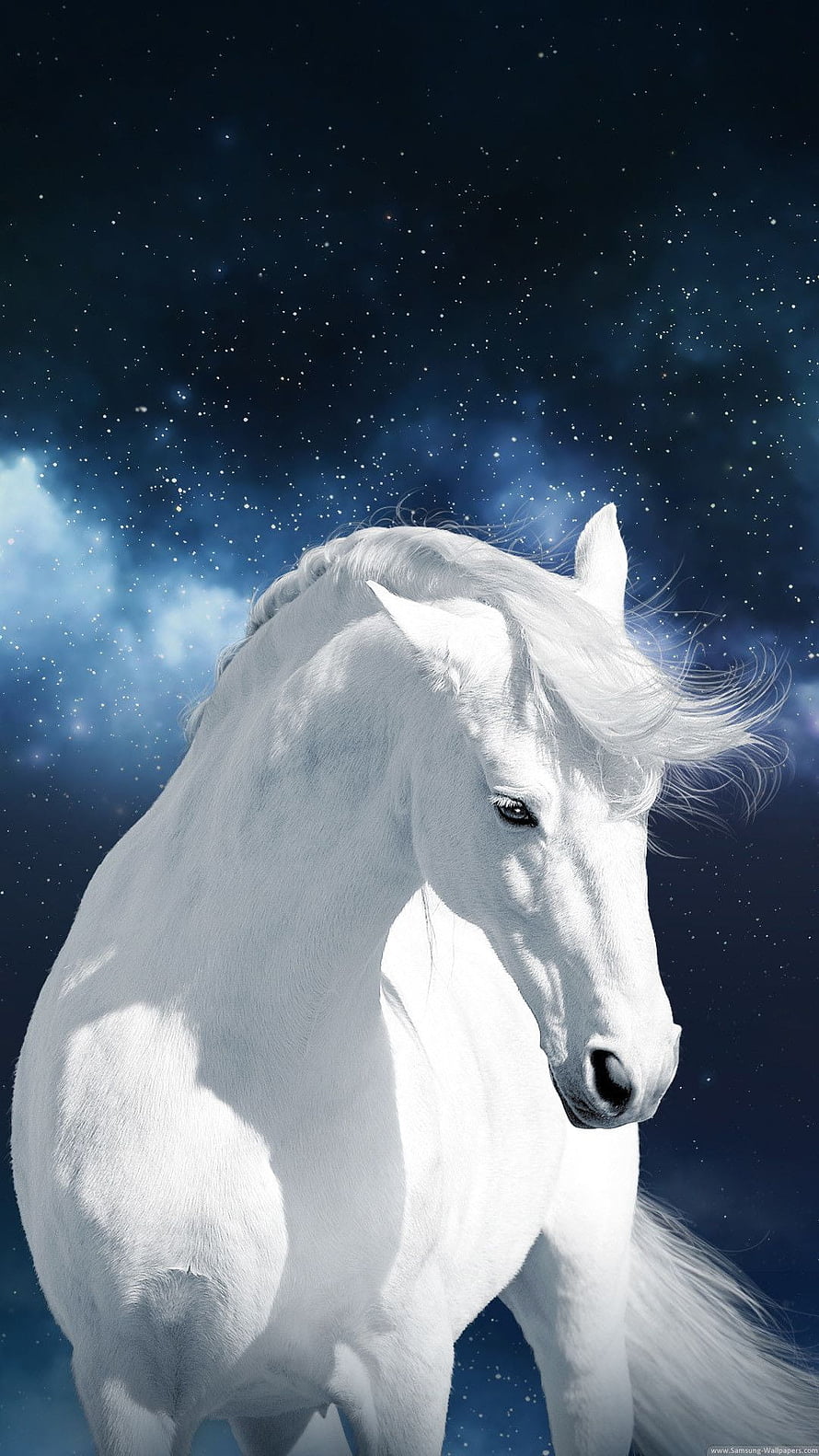 Majestic White Horse Portrait Against a Starry Night Sky and Cosmic Nebula HD phone wallpaper