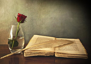 Vintage still life with open antique book, quill pen, and red rose in glass vase on wooden table HD wallpaper
