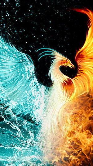 Mystical Phoenix Rising from Fire and Water Elements in Digital Art HD phone wallpaper