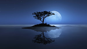 Serene Night Landscape With Silhouetted Tree On Island And Full Moon Reflection HD wallpaper