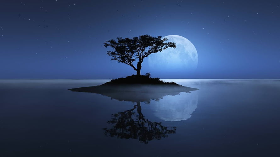 Serene Night Landscape With Silhouetted Tree On Island And Full Moon Reflection HD wallpaper