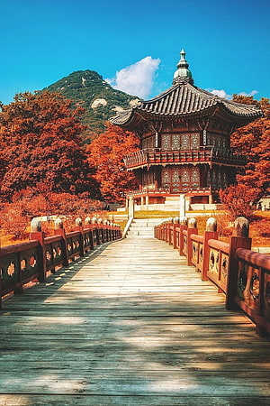 Traditional Korean Pavilion and Wooden Bridge in Autumn Foliage Landscape HD phone wallpaper