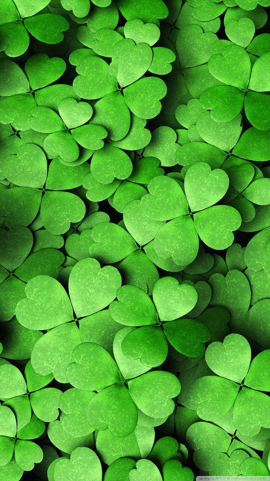 Vibrant Four Leaf Clover Pattern Nature Wallpaper HD phone wallpaper