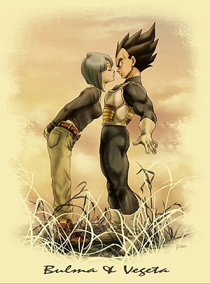 Bulma and Vegeta in a Tender Moment Amidst Golden Grass HD phone wallpaper