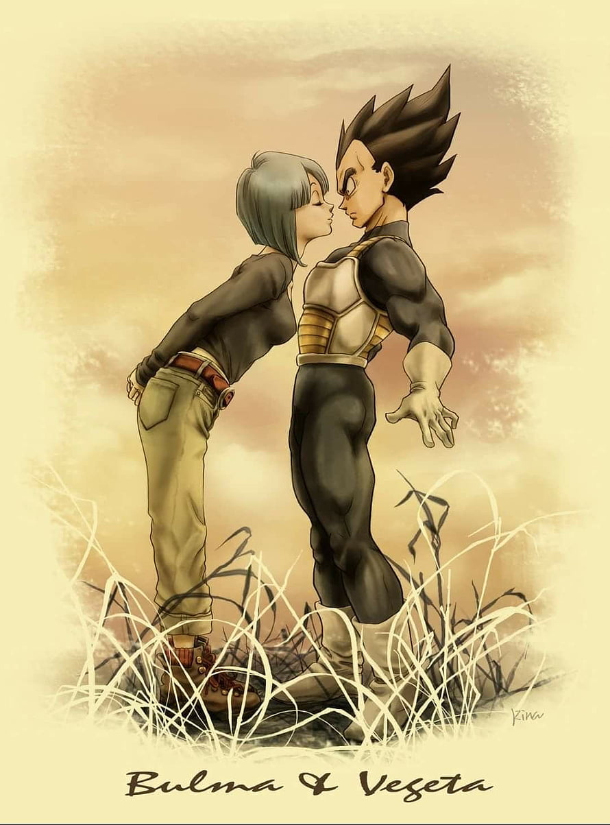 Bulma and Vegeta in a Tender Moment Amidst Golden Grass HD phone wallpaper