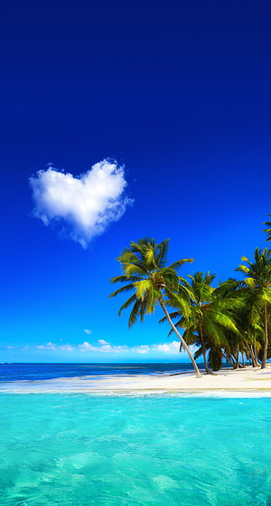 Tropical Paradise Beach with Heart-Shaped Cloud and Palm Trees HD phone wallpaper