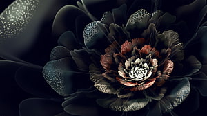 Dark Abstract Fractal Flower with Glowing Speckled Petals and Intricate Center HD wallpaper