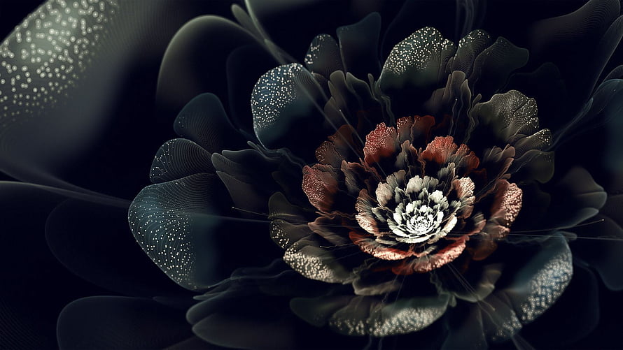 Dark Abstract Fractal Flower with Glowing Speckled Petals and Intricate Center HD wallpaper