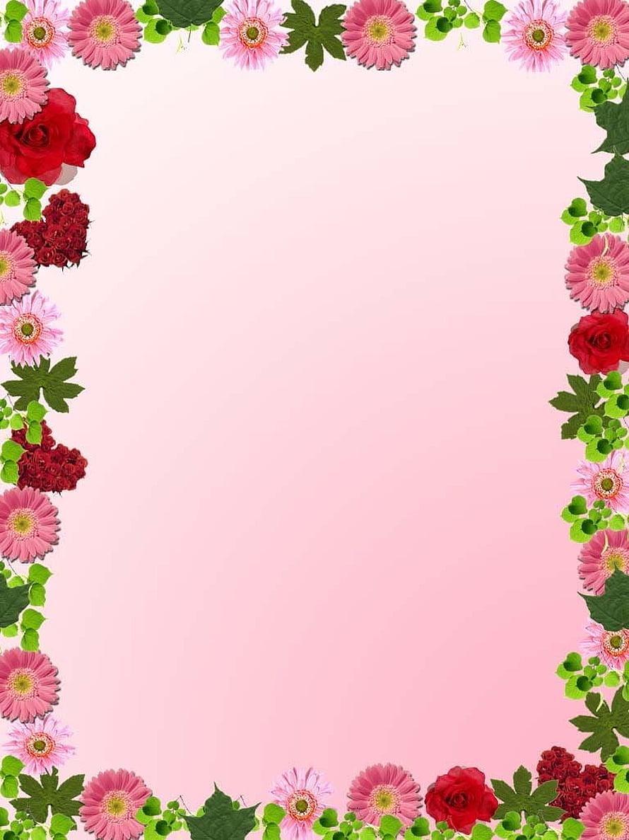 Pink Gerbera Daisy and Red Rose Floral Border Frame on Soft Pink Gradient Background HD phone wallpaper