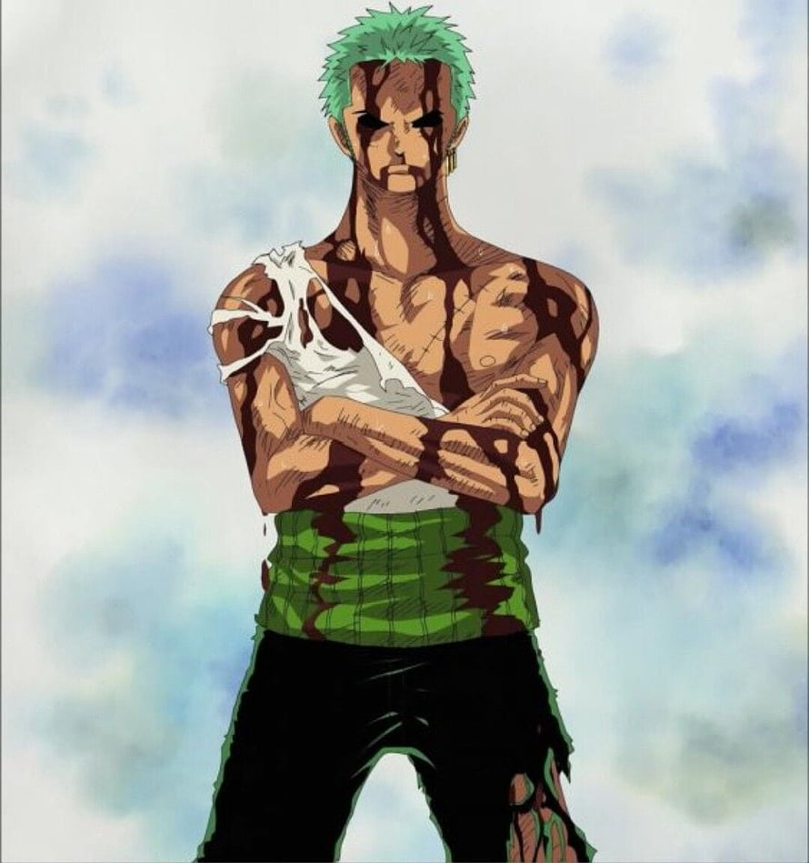 Roronoa Zoro Injured After Battle With Kuma In One Piece Anime HD phone wallpaper