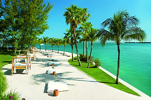 Tropical Beach Resort With Palm Trees And Turquoise Ocean Water HD wallpaper