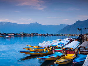 Colorful Shikara Boats Docked at Dal Lake Srinagar Kashmir HD wallpaper