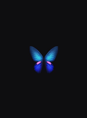 Glowing Blue Morpho Butterfly with Pink Accents on Black Background HD phone wallpaper