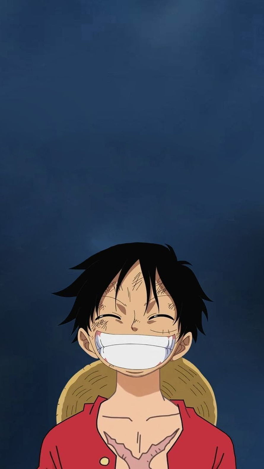 Monkey D. Luffy Smiling Portrait Anime Wallpaper HD phone wallpaper