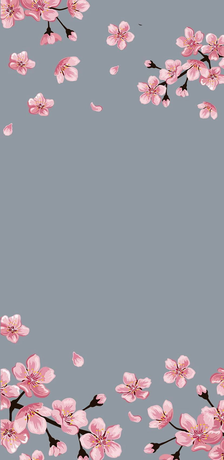 Pink Cherry Blossom Branches on Gray Background with Falling Petals HD phone wallpaper