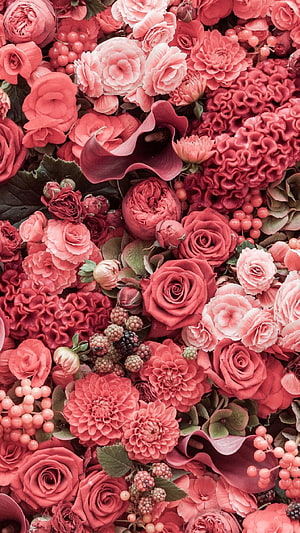 Rose Gold Floral Arrangement with Roses, Dahlias, and Calla Lilies HD phone wallpaper
