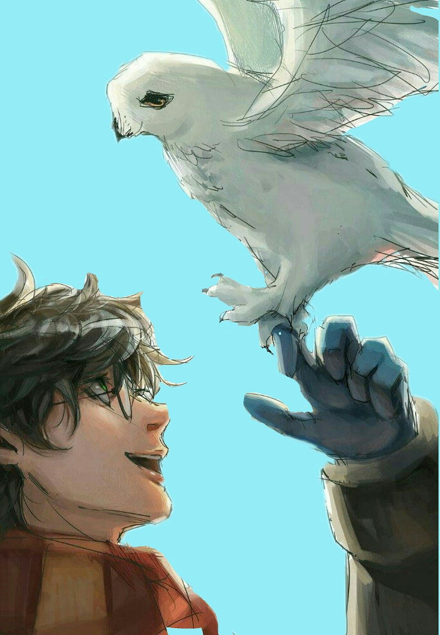 Harry Potter and Hedwig the Owl in a Watercolor Fantasy Illustration HD phone wallpaper