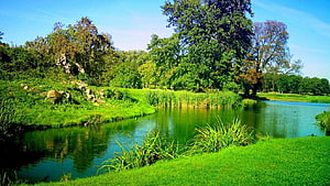 Serene Green Lake Surrounded by Lush Trees and Grassy Banks HD wallpaper