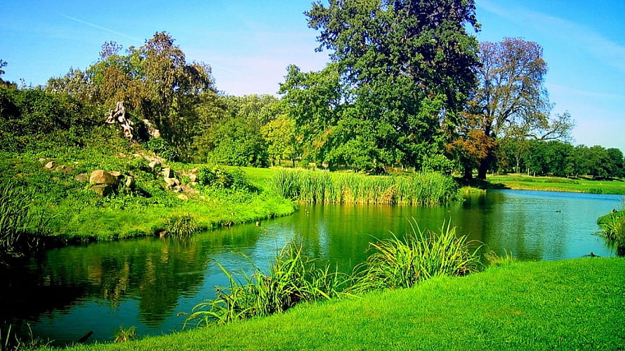 Serene Green Lake Surrounded by Lush Trees and Grassy Banks HD wallpaper